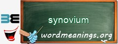 WordMeaning blackboard for synovium